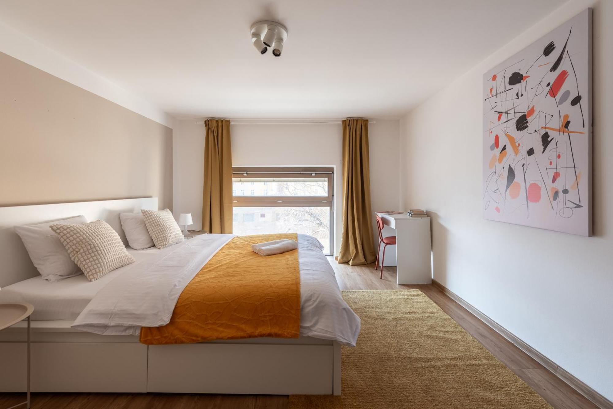 Spacious Near Karlin Square Prag