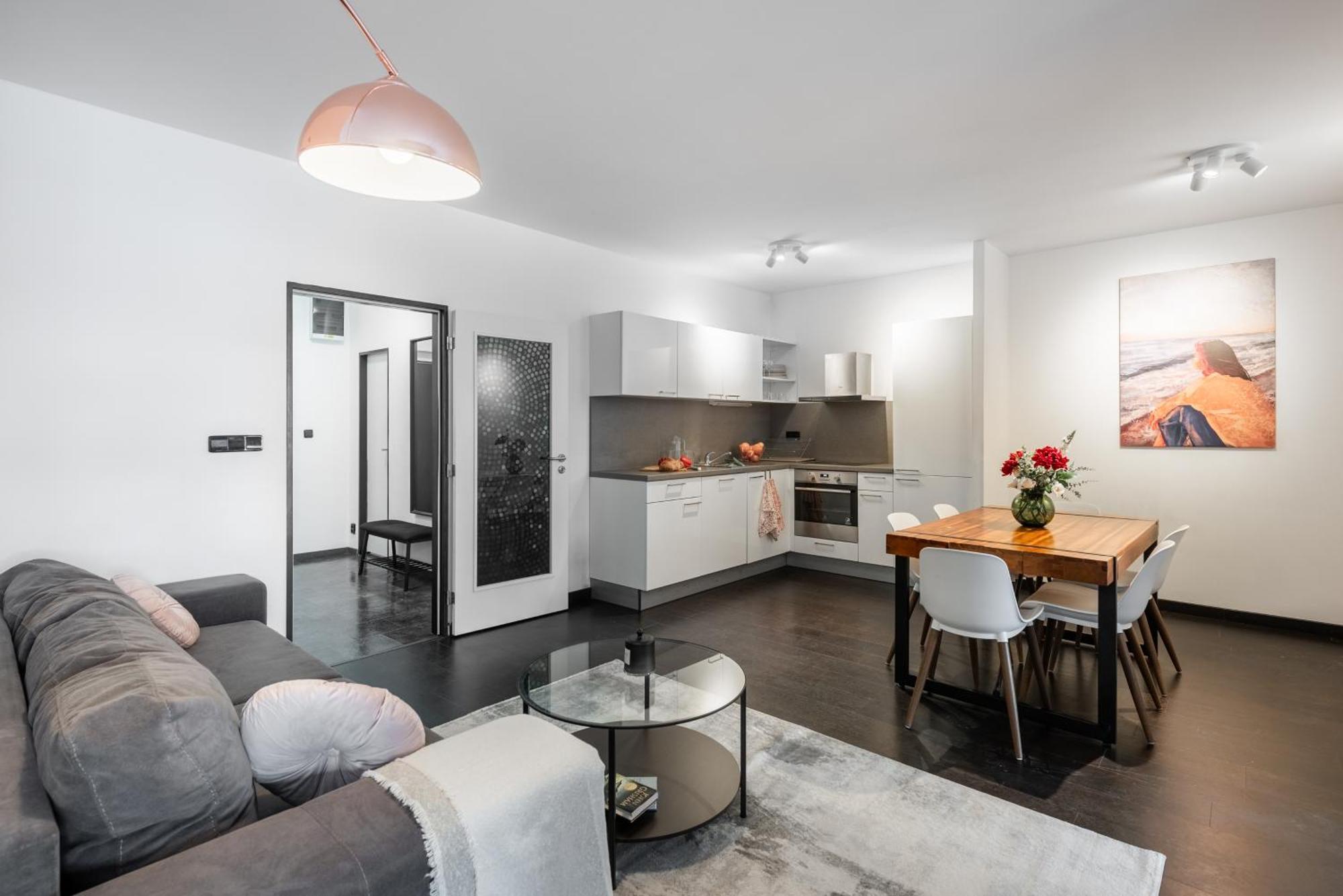 Apartment Spacious Near Karlin Square Prague