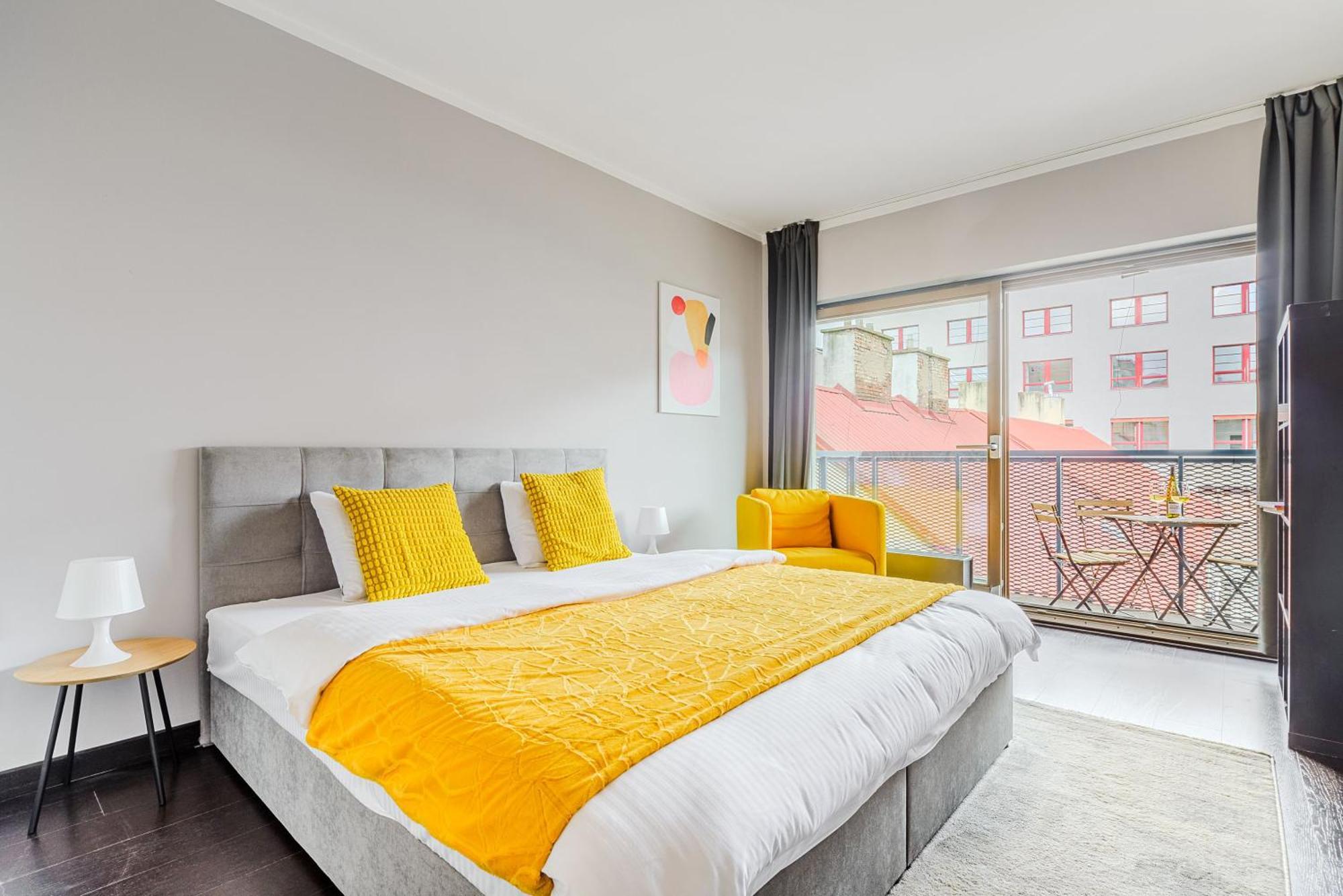 Spacious Near Karlin Square Praha