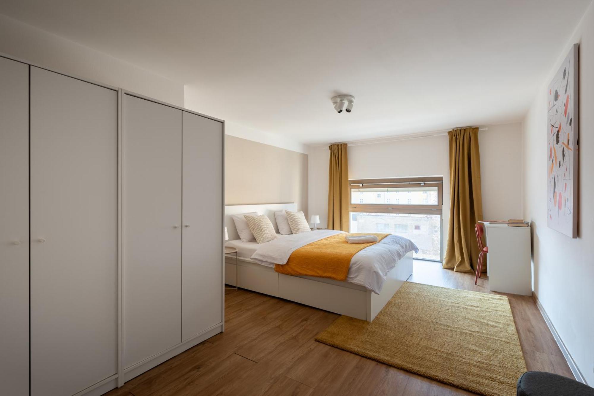Spacious Near Karlin Square * Praha